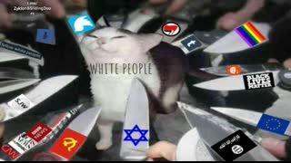 Jared Taylor on the George Floyd Insanity