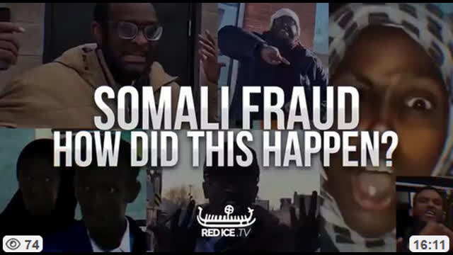 Somalis - What's not to Like - Somali Fraud, Feb 2, 2026