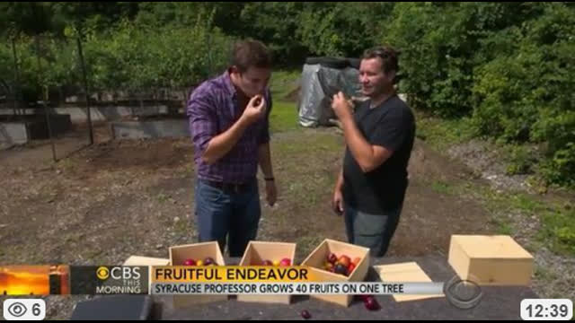 One Tree Many Varieties, Feb 11, 2026