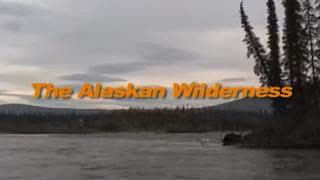 The Alaskan Wilderness - Arctic Son, May 15, 2025