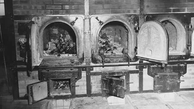 Crematory Nonsense, Mar 8, 2023