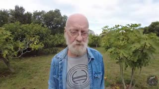 Max Igan's WALK AND TALK Update, Sept 13, 2024