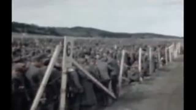 Justice for Germans - TRUE "Holocaust" - Rhine Meadows (Eisenhower) Murders, Jun 8, 2025