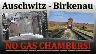 Auschwitz-Birkenau - No Gas chambers, Mar 31, 2025