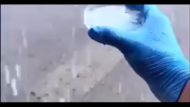 What's In Rainwater, Jan 6, 2026