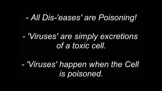 Dr. Cowen - Viruses are Just Toxins from The Body, Jan 2, 2025