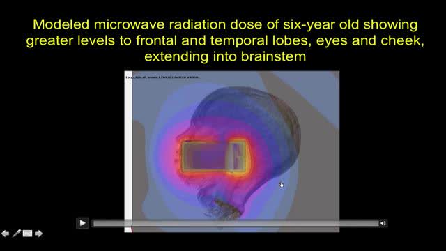 The Truth about Cell Phone Radiation Not Good, Jan 8, 2024