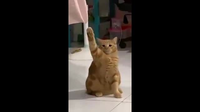 Jews Ruined Germany, Nov 6, 2023