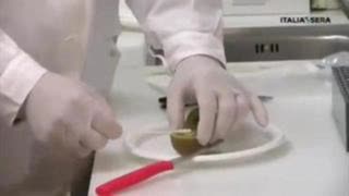 ITALY: DOCTORS AND SCIENTISTS TEST A KIWI FRUIT USING PCR TEST FOR COVID [2020-12-31] (VIDEO)