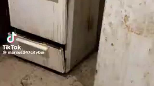 The Housekeeper Quit, Oct 24, 2024