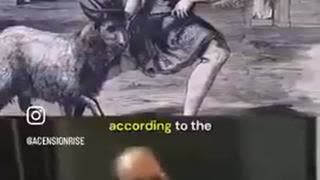 Jews Have Misappropriated (Hijacked) The Word, "Holocaust," Jun 17, 2025