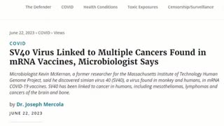 There Are NO Viruses, Aug 5, 2024