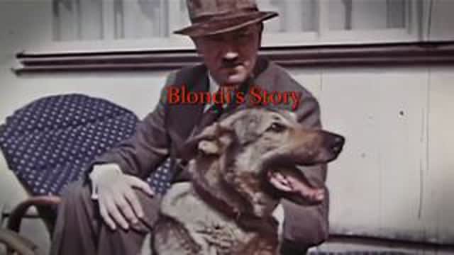Hitler's Dogs, Blondi's Story, May 16, 2025