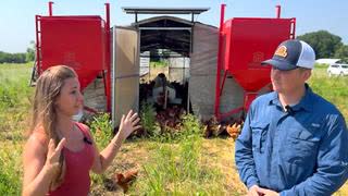 Good Farmer, Jun 12, 2025