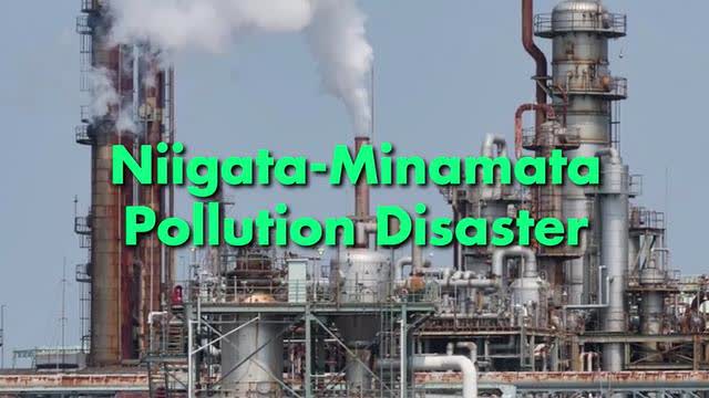 Niigata-Minamata, Japan Pollution (Mercury Poisoning), Jan 31, 2025