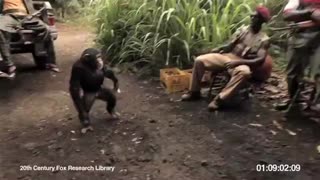 Who Has More Intelligence? May 22, 2023