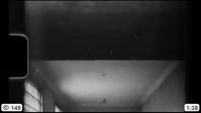 Erasing Memories, Feb 3, 2026