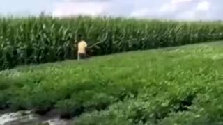 Taking a Drone Down, Mar 30, 2025