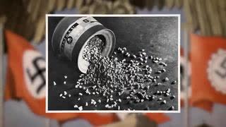 AI - Holocaust Lies, What About Denial AI!!! Jun 14, 2025