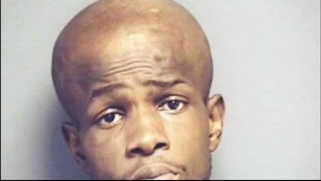 We Are Ruled by Fools AND COWARDS