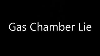 The MYTH of the Extermination Gas Chamber, Jun 18, 2025