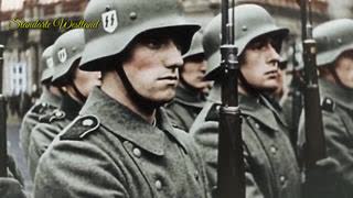 Waffen SS, Volunteers for the Third Reich, Jul 8, 2025