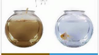 Vaxes are Poisons,  Mar 27, 2025