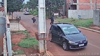 Cat (man) With Nine Lives, Apr 12, 2025