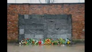 Jim Rizoli - The Truth About the Auschwitz Fake Death Wall, Apr 7, 2025