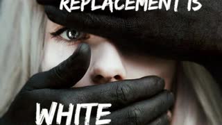 White Replacement is Real, Apr 13, 2023