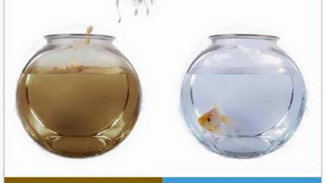 GeoEngineering, June 4, 2023