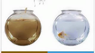 GeoEngineering, June 4, 2023