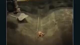 Our Internet Is Undersea Cable, Not Satelite, Jun 14, 2025