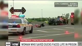 Save The Ducks Might Go To Jail (circa 2017), Dec 1, 2023