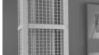 Real vs Fake Gas Chambers and Comments, Feb 15, 2023