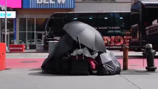 Shelter Program Complete Failure, Sept 3, 2024