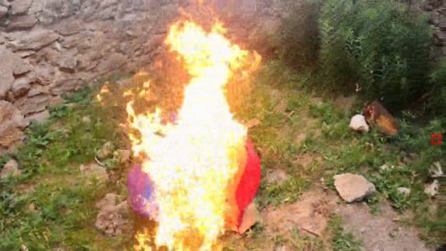 Pedoflagg Og Aktivisme V1.4