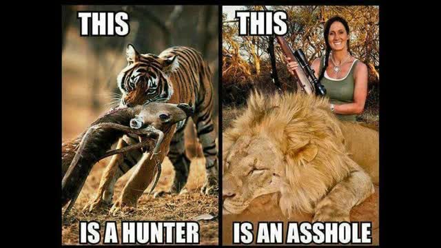 39270437_158775878332885_8029759097257590784_n