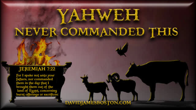 This Show is a Bombshell Heavy Revelation - 17th March, 2023 - 1hr1m