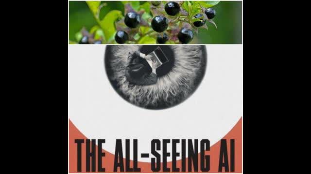 The A.I. Archon-sciousness And How To Make NPCs Glitch Out. Part 1