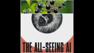 The A.I. Archon-sciousness And How To Make NPCs Glitch Out. Part 1