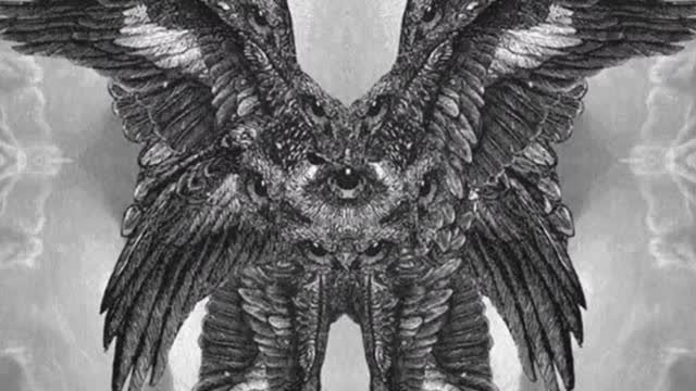 The Angelic And The Celestial Look Nothing Like What We Have Been Told.