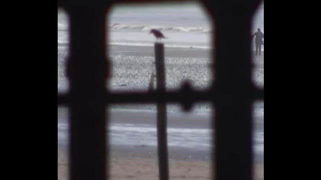 Walking On Water Whilst They Mock The Death Of The Redeemer With A Murder Of Crows.