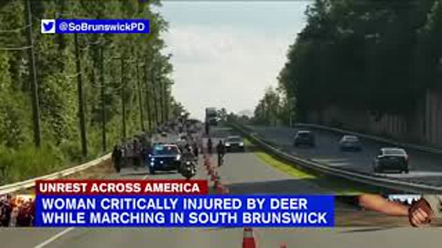Deer strikes, injures Black Lives Matter protester in New Jersey