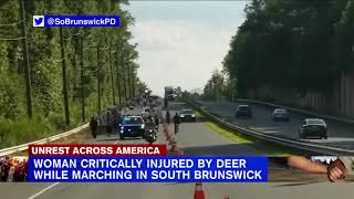 Deer strikes, injures Black Lives Matter protester in New Jersey