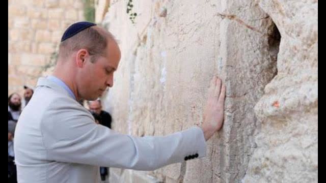 HUMP THE WALL BITCH!!!!!