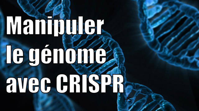 Modifier le génome avec CRISPR