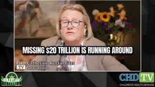 Catherine Fitts - the truth about Epstein's files could connect the dots between missing money