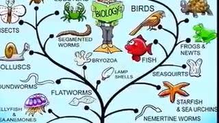 Exposing the evolution theory that is not science