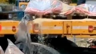 May 2023 What kind of society produces people who do this?